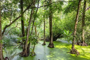 Top 15 Cheapest Countries to Travel to From Nigeria